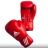 Перчатки боксерские AIBA