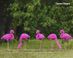 Топиари композиция фламинго розовый, семья Елизи, 7 шт - газон Eco, фото 3
