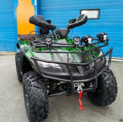 Квадроцикл YAMAHA Hunter 300cc, фото 2