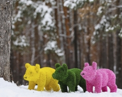 Топиари поросенок Грин - газон Eco, фото 1