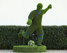 Топиари Футболист - газон Eco Топиари Футболист - газон Eco