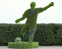 Топиари Футболист - газон Eco Топиари Футболист - газон Eco