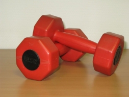 Комплект гантелей 2 кг (2шт) V-SPORT