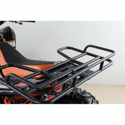 Квадроцикл MOTAX ATV T-Rex Super LUX 125 сс, фото 17