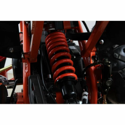 Квадроцикл MOTAX ATV T-Rex Super LUX 125 сс, фото 15