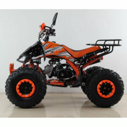 Квадроцикл MOTAX ATV T-Rex Super LUX 125 сс, фото 7