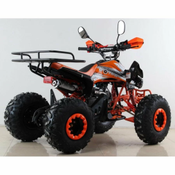Квадроцикл MOTAX ATV T-Rex Super LUX 125 сс, фото 5