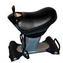 Иппотренажер Takasima S-Rider SKY 007 Иппотренажер Takasima S-Rider SKY 007