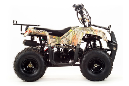 Квадроцикл MOTOLAND 110 Rider (2021 Г.), фото 6