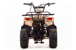 Квадроцикл MOTOLAND 110 Rider (2021 Г.), фото 4