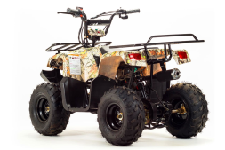 Квадроцикл MOTOLAND 110 Rider (2021 Г.), фото 3