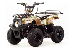 Квадроцикл MOTOLAND 110 Rider (2021 Г.), фото 1