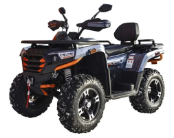 Квадроцикл MOTOLAND ATV 300 Max X, фото 1