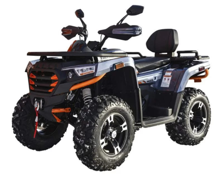 Квадроцикл MOTOLAND ATV 300 Max X, фото 1