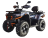 Квадроцикл MOTOLAND ATV 300 Max X