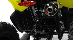 Квадроцикл MOTOLAND 125 Raptor, фото 11