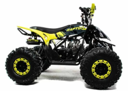 Квадроцикл MOTOLAND 125 Raptor, фото 6