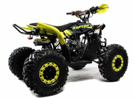 Квадроцикл MOTOLAND 125 Raptor, фото 5