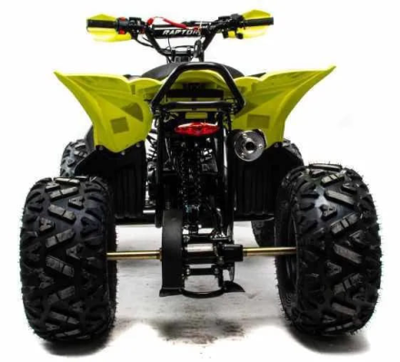 Квадроцикл MOTOLAND 125 Raptor, фото 4
