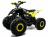 Квадроцикл MOTOLAND 125 Raptor
