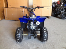 Квадроцикл RAPTOR 110