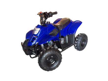 Квадроцикл RAPTOR 110, фото 1