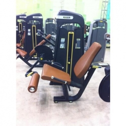 E-1002В Разгибание ног сидя (Leg Extension). Стек 135 кг., фото 4