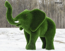 Топиари слон Африканский - газон Eco + Топиари слон Африканский - газон Eco +