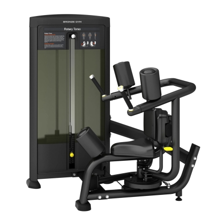 Торс-машина профессиональный BRONZE GYM BLANC 18, фото 1