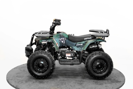 Квадроцикл MOTAX Grizlik Mini PS BW, фото 3