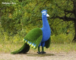 Топиари Павлин, основа композиций - газон Eco, фото 6