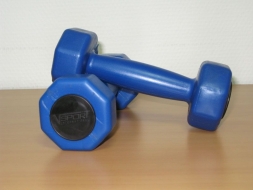 Комплект гантелей 1 кг (2шт) V-SPORT