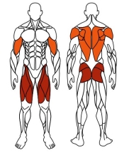 Тяга верхняя+Флекс (серый) - Уличный тренажер - СТ 021-13.И1