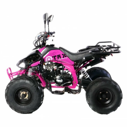 Квадроцикл MOTAX ATV T-Rex-LUX 125 сс, фото 10