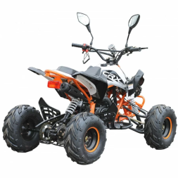 Квадроцикл MOTAX ATV T-Rex-LUX 125 сс, фото 7