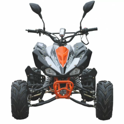 Квадроцикл MOTAX ATV T-Rex-LUX 125 сс, фото 3