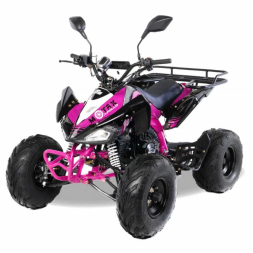 Квадроцикл MOTAX ATV T-Rex-LUX 125 сс, фото 2