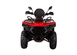 Квадроцикл BIZON YK200 Basic Carb, фото 4