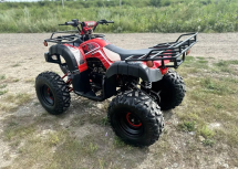 Квадроцикл RAPTOR Madman 200 All