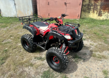 Квадроцикл RAPTOR Madman 200 All