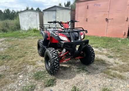 Квадроцикл RAPTOR Madman 200 All, фото 3