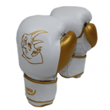 Перчатки тренировочные ECOS Punch