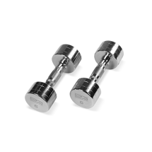 BRONZE GYM BG-PA-DB-C06 Гантель хромированная 6 кг