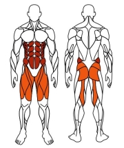 Жим ногами+Твистер (красный) - Уличный тренажер - СТ 022-11