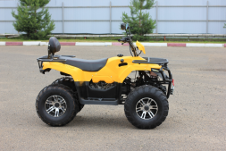 Квадроцикл IRBIS ATV200 Premium, фото 3
