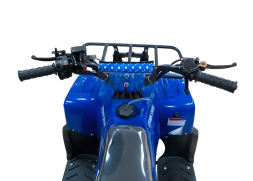 Квадроцикл ATV Atomik Spark 70, фото 2