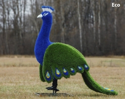 Топиари Павлин, основа композиций - газон Deluxe+Eco, фото 5