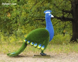 Топиари Павлин, основа композиций - газон Deluxe+Eco, фото 2