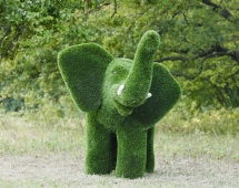 Топиари слон Лермон - газон Premium Топиари слон Лермон - газон Premium