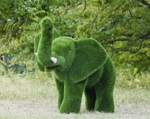 Топиари слон Лермон - газон Premium Топиари слон Лермон - газон Premium